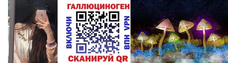 Галлюциногенные грибы GOLDEN TEACHER  купить   Верхнеуральск 